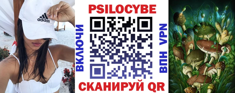 Псилоцибиновые грибы прущие грибы  Гулькевичи 